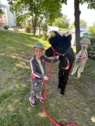Dzieci z alpakami